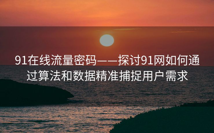 91在线流量密码——探讨91网如何通过算法和数据精准捕捉用户需求 91在线流量密码——探讨91网如何通过算法和数据精准捕捉用户需求