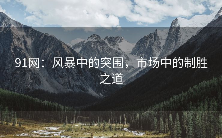 91网:风暴中的突围,市场中的制胜之道 91网:风暴中的突围,市场中的制胜之道