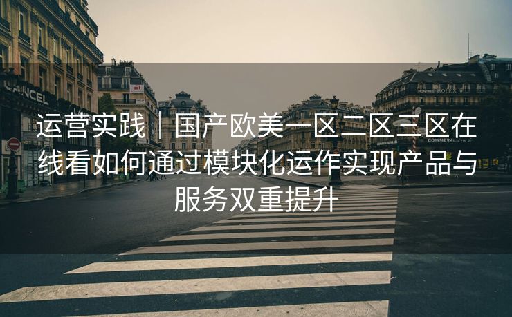 运营实践|国产欧美一区二区三区在线看如何通过模块化运作实现产品与服务双重提升 运营实践|国产欧美一区二区三区在线看如何通过模块化运作实现产品与服务双重提升